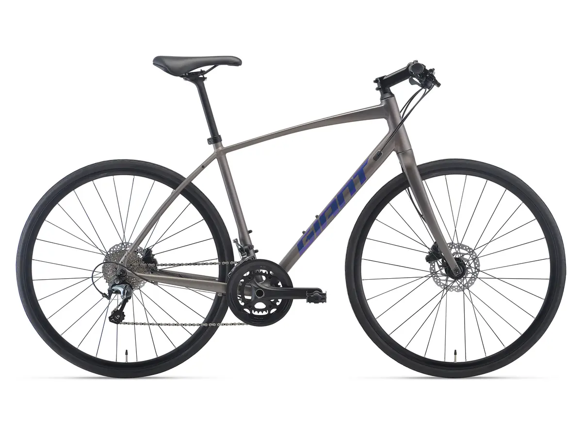 GIANT Escape RX 1 Disc Matt Titanium 公式画像